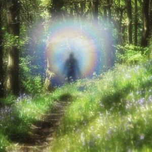 Meet your Posher, Zoë Elise